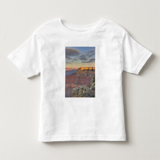 T-shirt Pour Les Tous Petits AZ, Arizona, Grand Canyon National Park, Sud (Devant)