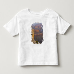 T-shirt Pour Les Tous Petits AZ, Arizona, parc national du Grand Canyon, Sud 7