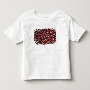 T-shirt Pour Les Tous Petits Baies rouges de l'Himalaya