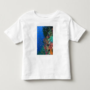 T-shirt Pour Les Tous Petits Banc de Pseudanthias (Pseudanthias