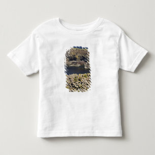 T-shirt Pour Les Tous Petits basalte polygonal, Staffa, au large de l'île de M