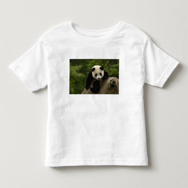 T-shirt Pour Les Tous Petits Bébé panda géant (Devant)