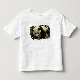 T-shirt Pour Les Tous Petits Bébé panda géant (Ailuropoda melanoleuca)