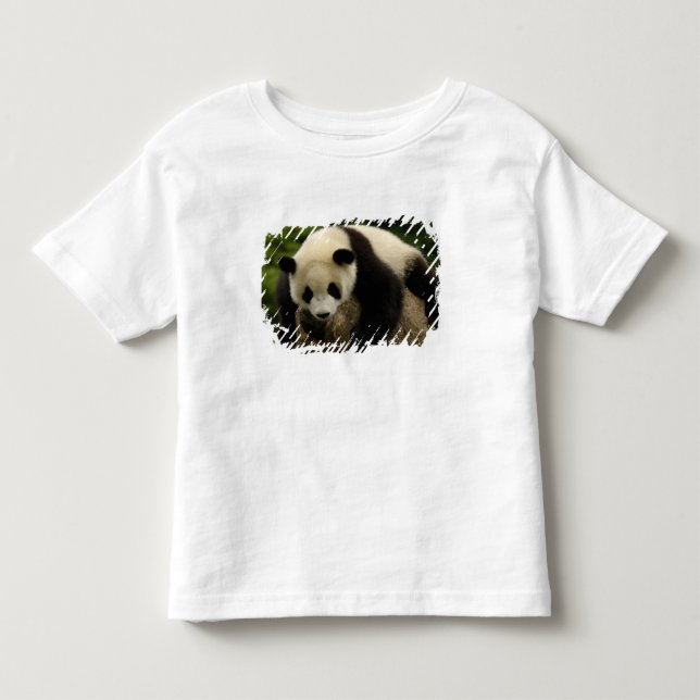T-shirt Pour Les Tous Petits Bébé panda géant (Ailuropoda melanoleuca) (Devant)