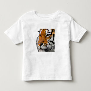 T-shirt Pour Les Tous Petits Belle photo de visage de tigre du Bengale