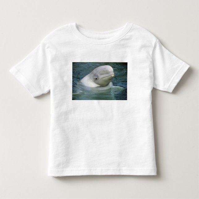 T-shirt Pour Les Tous Petits Béluga, Delphinapterus leucas) (Devant)