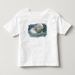 T-shirt Pour Les Tous Petits Béluga, Delphinapterus leucas)