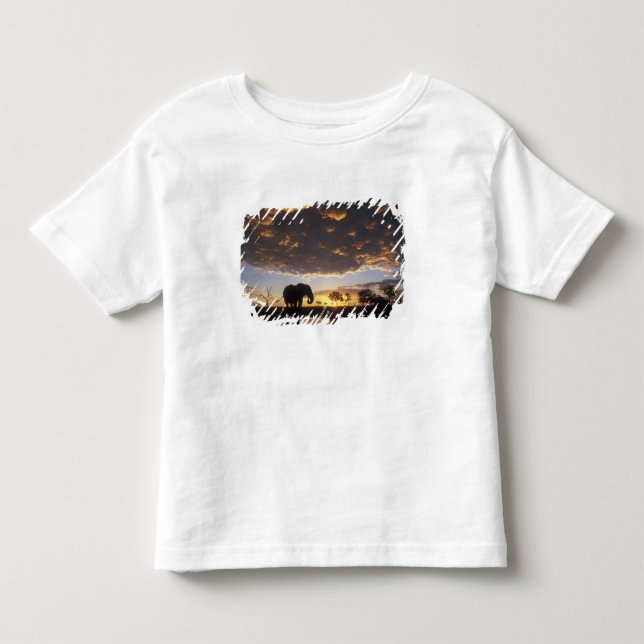 T-shirt Pour Les Tous Petits Botswana, Chobe National Park, Elephant (Devant)