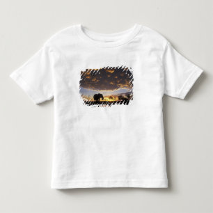T-shirt Pour Les Tous Petits Botswana, parc national de Chobe, Éléphant