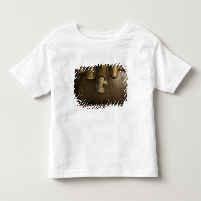 T-shirt Pour Les Tous Petits Bouddha à Wat Si Chum. (Devant)