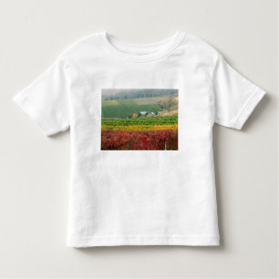 T-shirt Pour Les Tous Petits Brouillard au-dessus de Gehring Brothers Winery ni