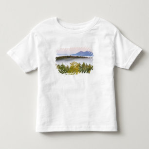 T-shirt Pour Les Tous Petits Brouillard matinal et les Percy Peaks vus depuis l