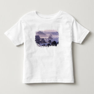 T-shirt Pour Les Tous Petits Brouillard matinal le long de la côte de l'Oregon 