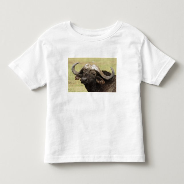 T-shirt Pour Les Tous Petits Buffle d'Afrique, Syncerus caffer (Devant)