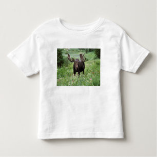 T-shirt Pour Les Tous Petits Bull moose Alces alces) en fleur sauvage,