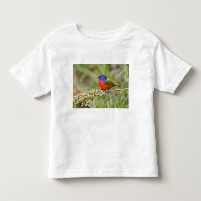 T-shirt Pour Les Tous Petits Bunting peint (ciris passeriens) alimentation mâle (Devant)