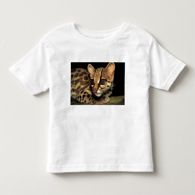 T-shirt Pour Les Tous Petits CA, Panama central, Soberania NP, Margay 2 (Devant)