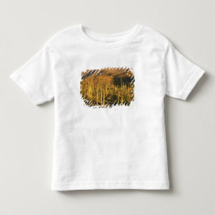 T-shirt Pour Les Tous Petits Cactus saguaro dans le parc national de Saguaro pr