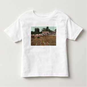 T-shirt Pour Les Tous Petits CaliforniaView des pêches séchant au soleil