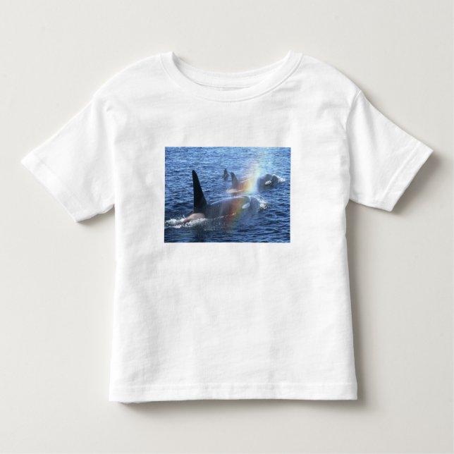 T-shirt Pour Les Tous Petits Canada, Colombie-Britannique, Johnstone Straight, (Devant)