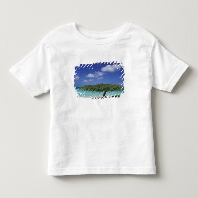 T-shirt Pour Les Tous Petits Caraïbes, Aruba. Plage Eagle (Devant)