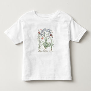 T-shirt Pour Les Tous Petits Carnations : 1.Caryophyllus multiplex flore albo;2