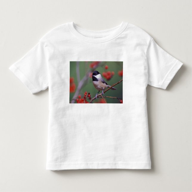 T-shirt Pour Les Tous Petits Carolina Chickadee (Devant)