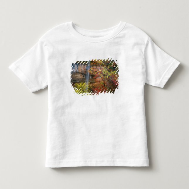 T-shirt Pour Les Tous Petits Cascade, érable à grandes dents Acer (Devant)