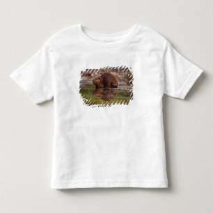 T-shirt Pour Les Tous Petits castor, Castor canadensis, va nager