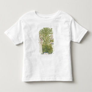 T-shirt Pour Les Tous Petits Céleri de Lat de Nouv Acq, de 'Tacuinum Sanitatis
