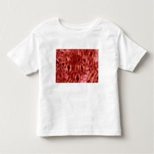T-shirt Pour Les Tous Petits Cellules de Sclerenchyma d'un puits de cerise