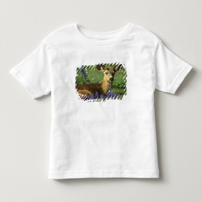 T-shirt Pour Les Tous Petits Cerf à queue noire, Odocoileus hemionus (Devant)