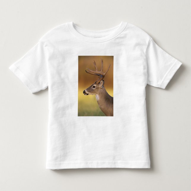 T-shirt Pour Les Tous Petits Cerf de Virginie, Odocoileus virginianus, (Devant)