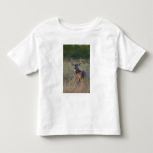 T-shirt Pour Les Tous Petits cerf de Virginie Odocoileus virginianus