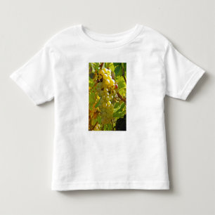T-shirt Pour Les Tous Petits Certains Chasselas dans le vignoble - plantés il y