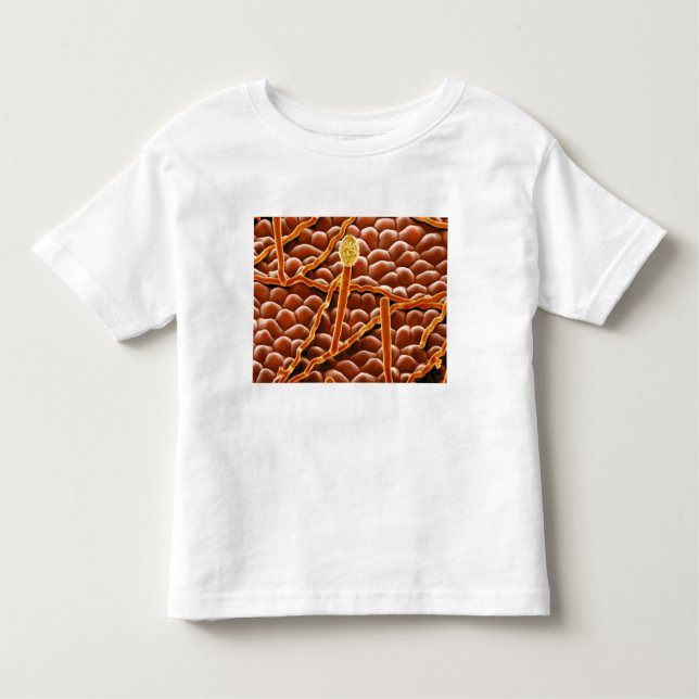 T-shirt Pour Les Tous Petits Champignon de rouille pulvérulente sur la (Devant)
