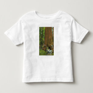 T-shirt Pour Les Tous Petits Chariot de cheval sous un séquoia géant