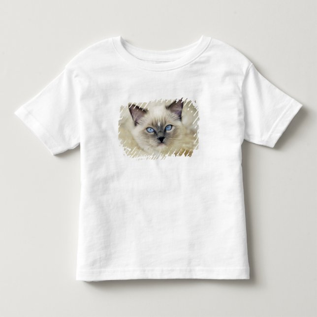 T-shirt Pour Les Tous Petits chaton ragdoll (Devant)
