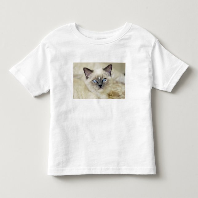 T-shirt Pour Les Tous Petits chaton Ragdoll (Devant)
