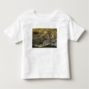 T-shirt Pour Les Tous Petits Cheetah, Acinonyx jubatus, avec petit dans le Masa