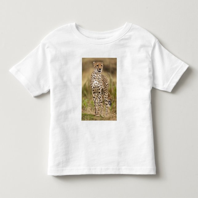 T-shirt Pour Les Tous Petits Cheetah, Acinonyx jubatus, dans le Masai Mara (Devant)