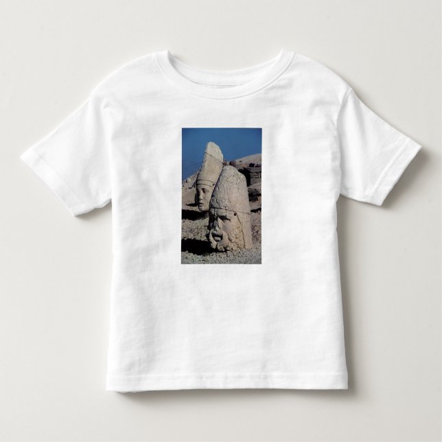 T-shirt Pour Les Tous Petits Chef de Zeus-Oromandes et déesse (Devant)
