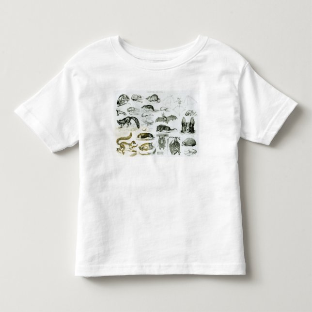 T-shirt Pour Les Tous Petits Cheiroptera, Insectivora (Devant)