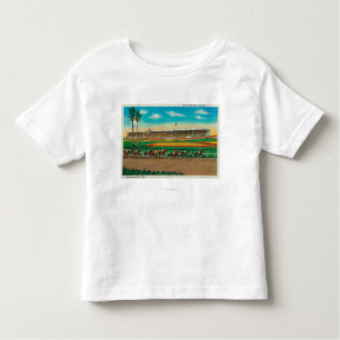 T-shirt Pour Les Tous Petits Cheval RacesArcadia, CA de parc de Santa Anita