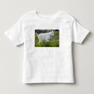 T-shirt Pour Les Tous Petits Chevreau au Logan Pass dans Glacier