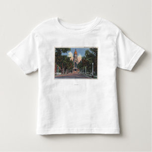 T-shirt Pour Les Tous Petits Cheyenne, WY - vue de capitol d'état et Drivewa