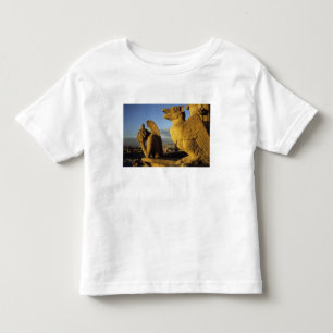 T-shirt Pour Les Tous Petits Chimère, cathédrale Notre-Dame, Paris, France