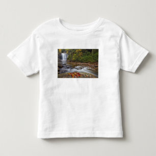 T-shirt Pour Les Tous Petits chute de Looking Glass dans le Pisgah National