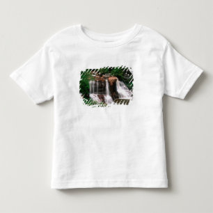 T-shirt Pour Les Tous Petits Chutes de Blackwater, Virginie-Occidentale, pittor