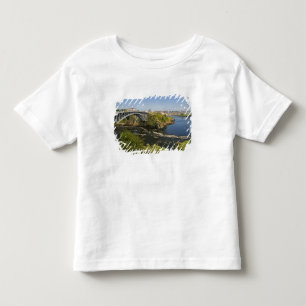 T-shirt Pour Les Tous Petits Chutes réversibles sur le fleuve Saint-Jean à St.